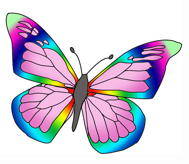 Colorful butterflies clipart clipartfox 3