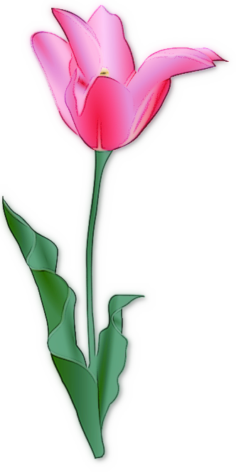 Free tulip clipart flower clip art images and 2