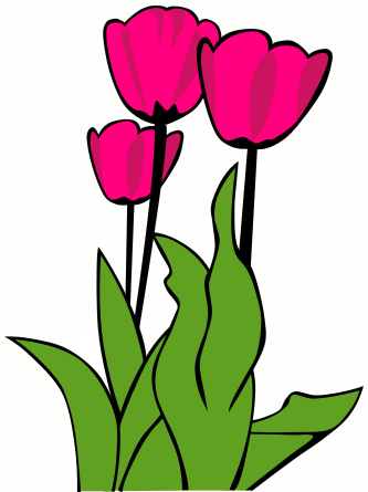 Free tulip clipart flower clip art images and