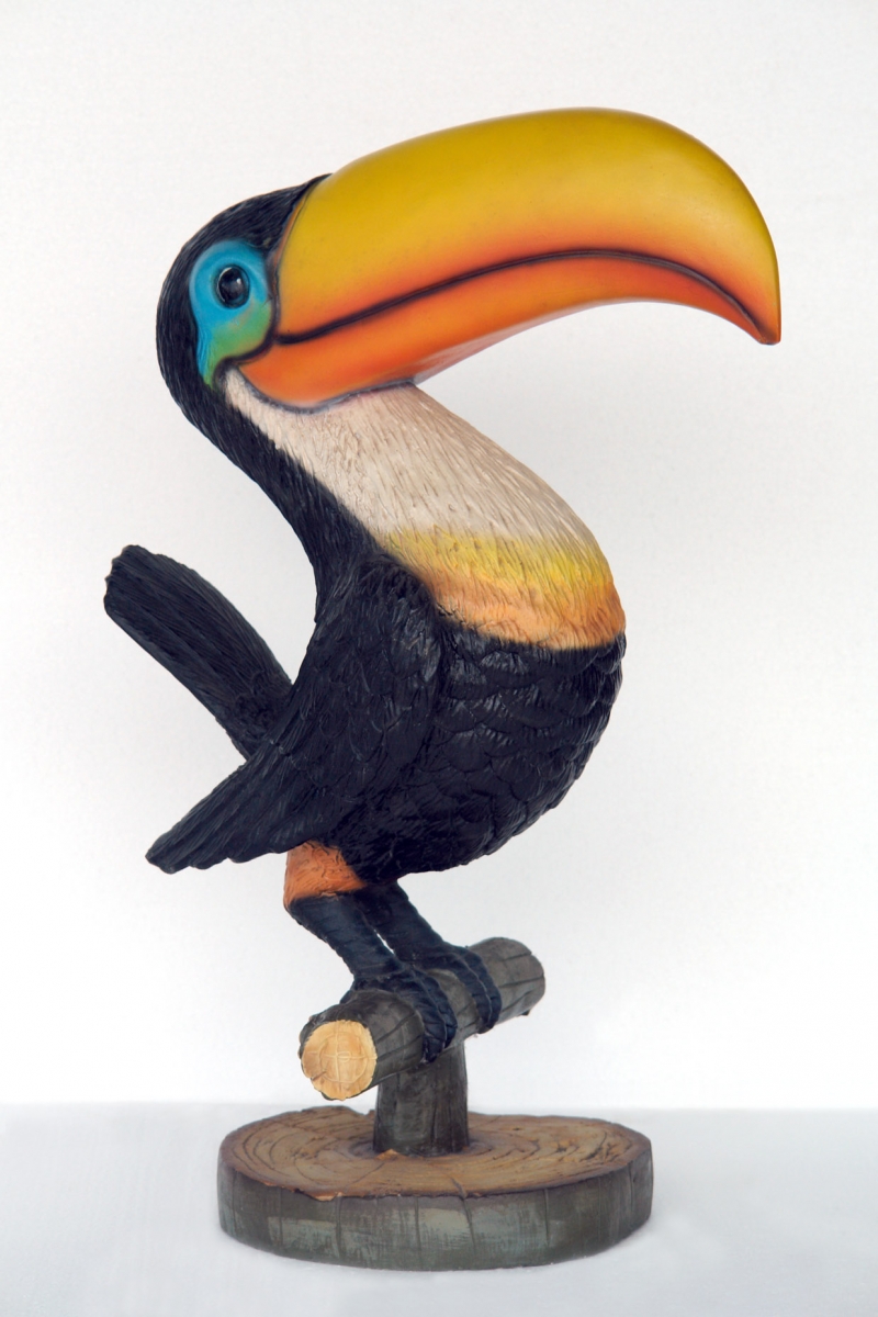 Pop art decoration animals birds cartoon toucan on tree