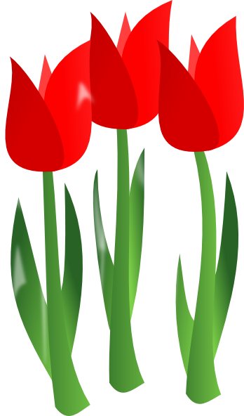 Red tulip clip art clipart