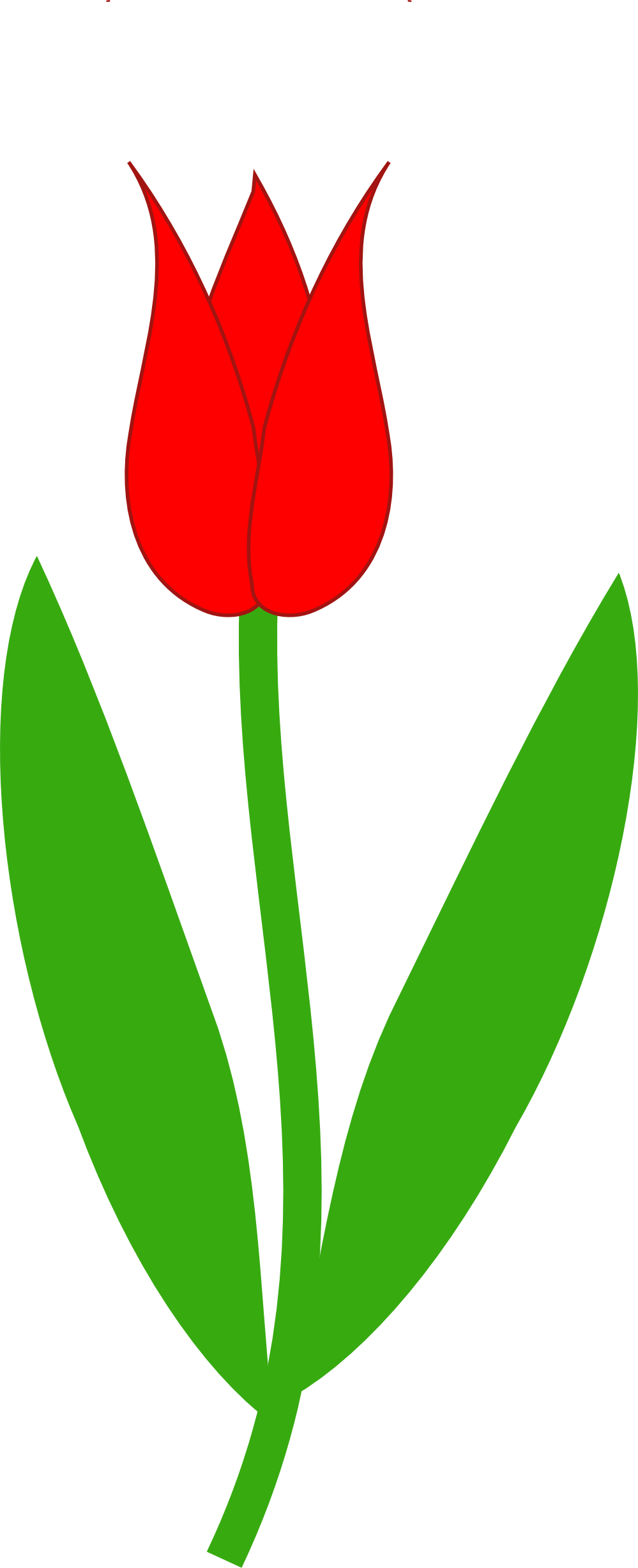 Tulip border clipart