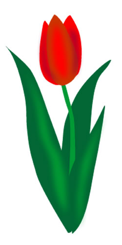 Tulip clip art border free clipart images