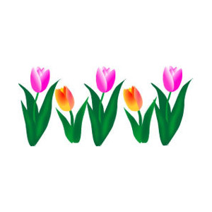 Tulip clip art spring flowers graphic polyvore clipart