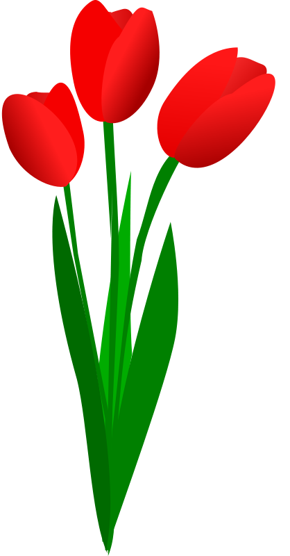 Tulip flower clip art free clipart images 2