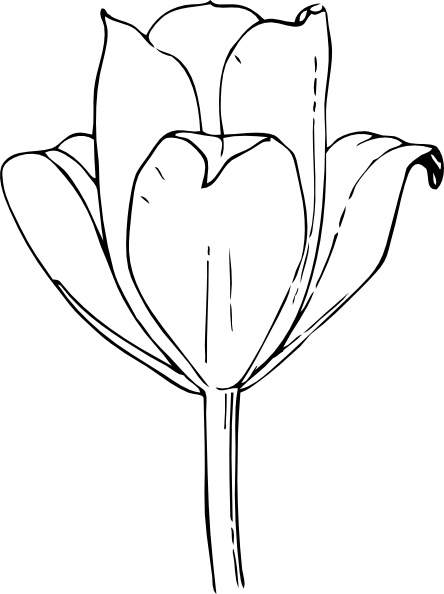 Tulip flower clip art free vector in open office drawing svg