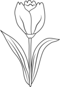 Tulip flower coloring page free clip art – Clipartix