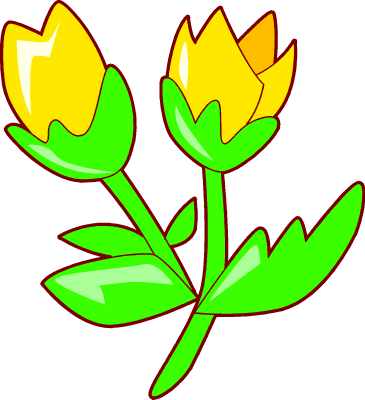 Yellow tulip clipart 2