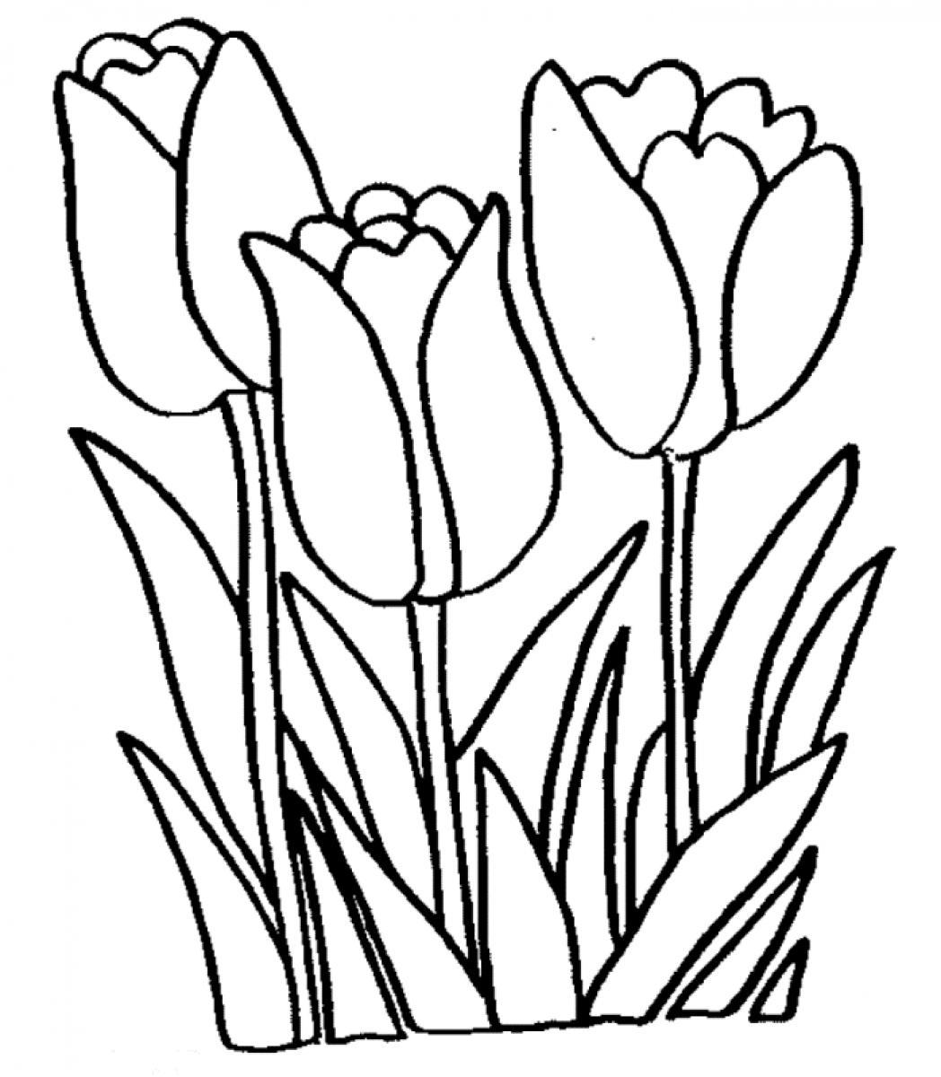 Yellow tulip clipart image