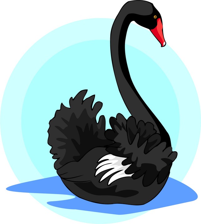 Black swan clipart clipartfest 3