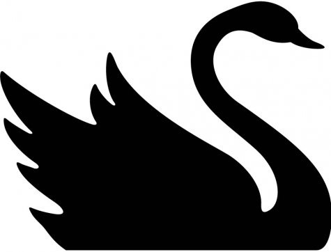 Black swan clipart clipartfest
