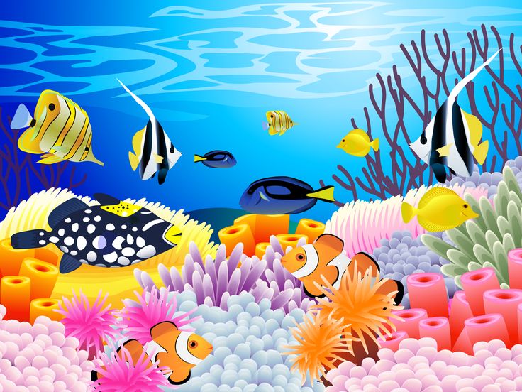 Coral reef clipart 2