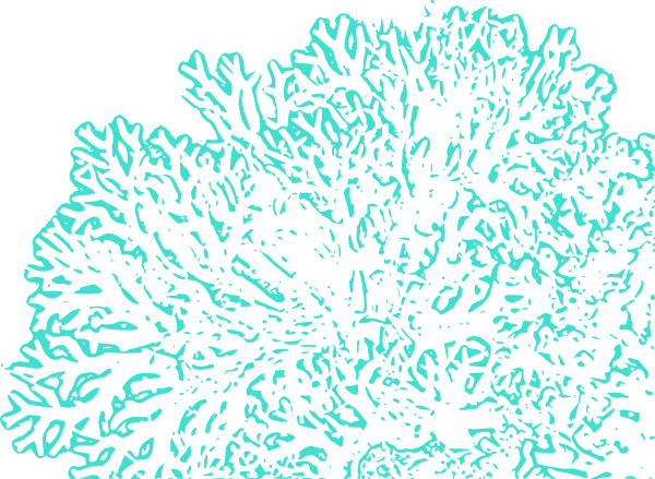 Coral reef clipart 3