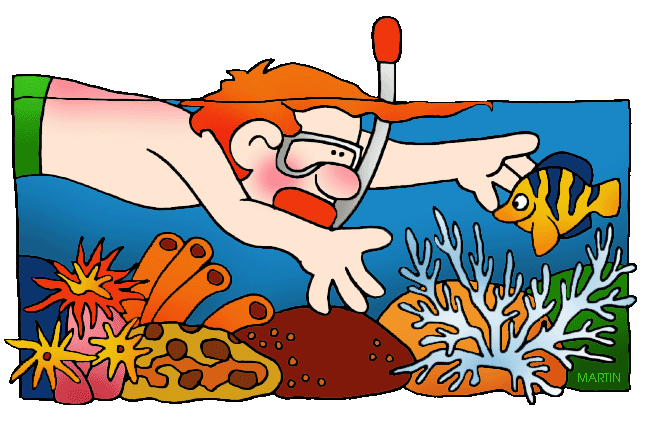 Coral reef clipart 5