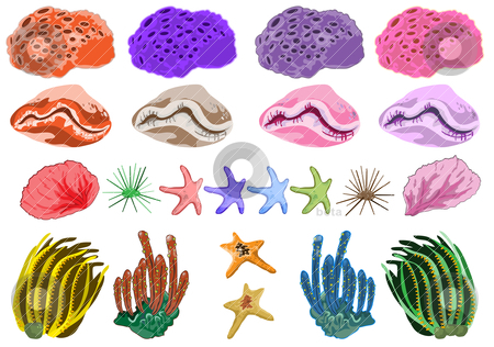 Coral reef clipart 6