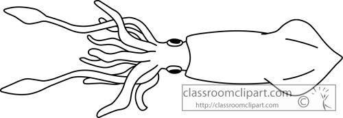 Giant squid clipart 4