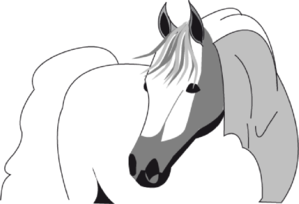 Horse head clip art at vector clip art