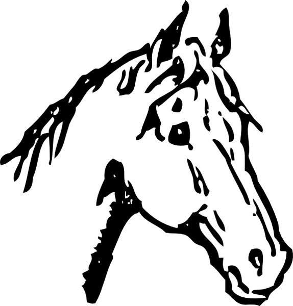 Horse head clip art free vector in open office drawing svg 2