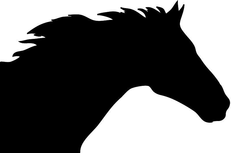 Horse head clipart free download clip art on 2