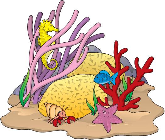 Images coral reef clipart