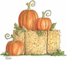 Pumpkin patch halloween pumpkins corn stalks and autumn cliparts