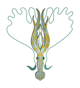 Squid clip art download 4