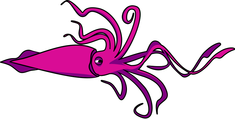 Squid clip art free clipart images