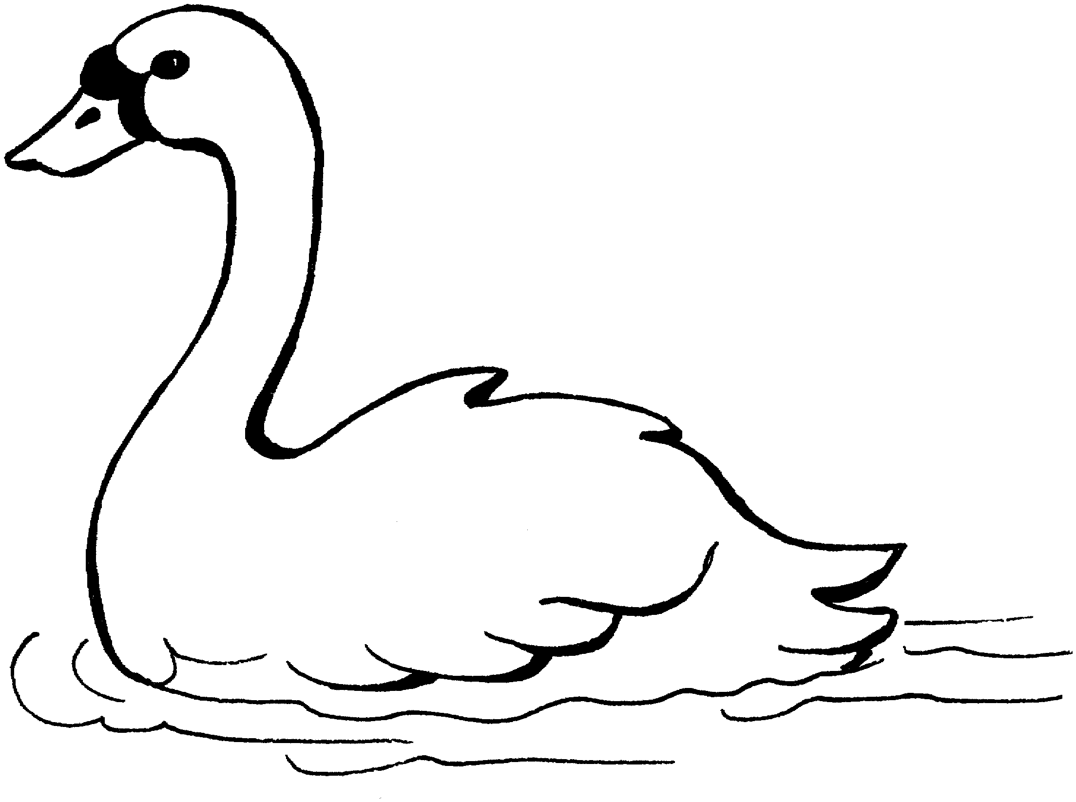 Swan clipart black and white clipartfest