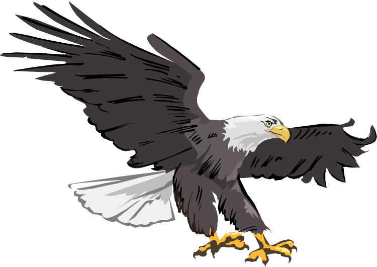 Bald eagle clipart images free