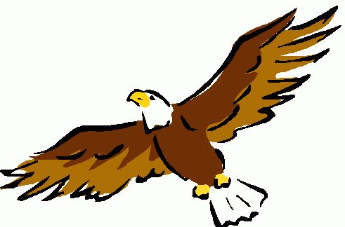 Bald eagle eagle clipart 2
