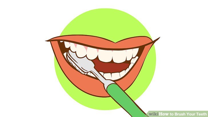Brush teeth how to brush your teeth st with pictures wikihow clip art