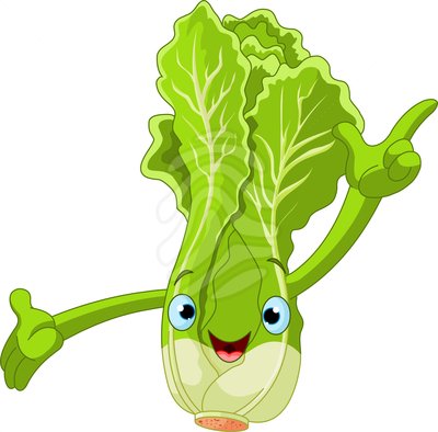 Cartoon lettuce clipart clipartfest