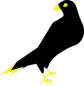Falcon clip art at vector 2 image