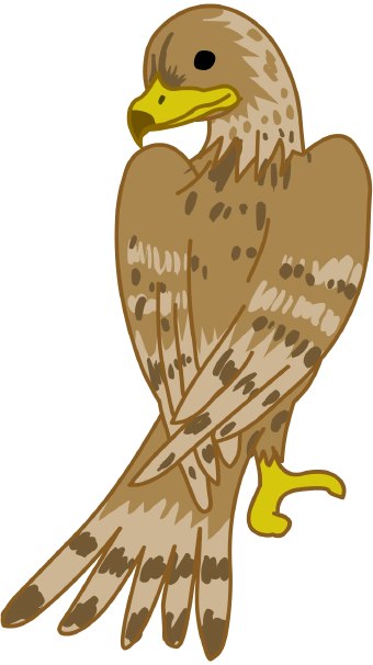 Falcon clip art at vector image 2