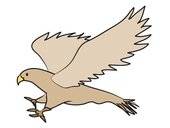 Falcon clip art free clipart 2 – Clipartix