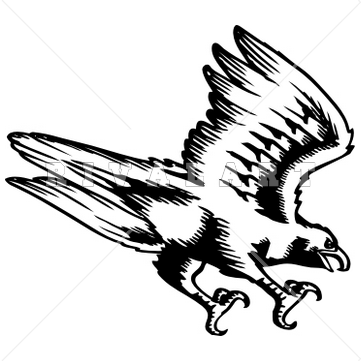 Falcon clipart free images