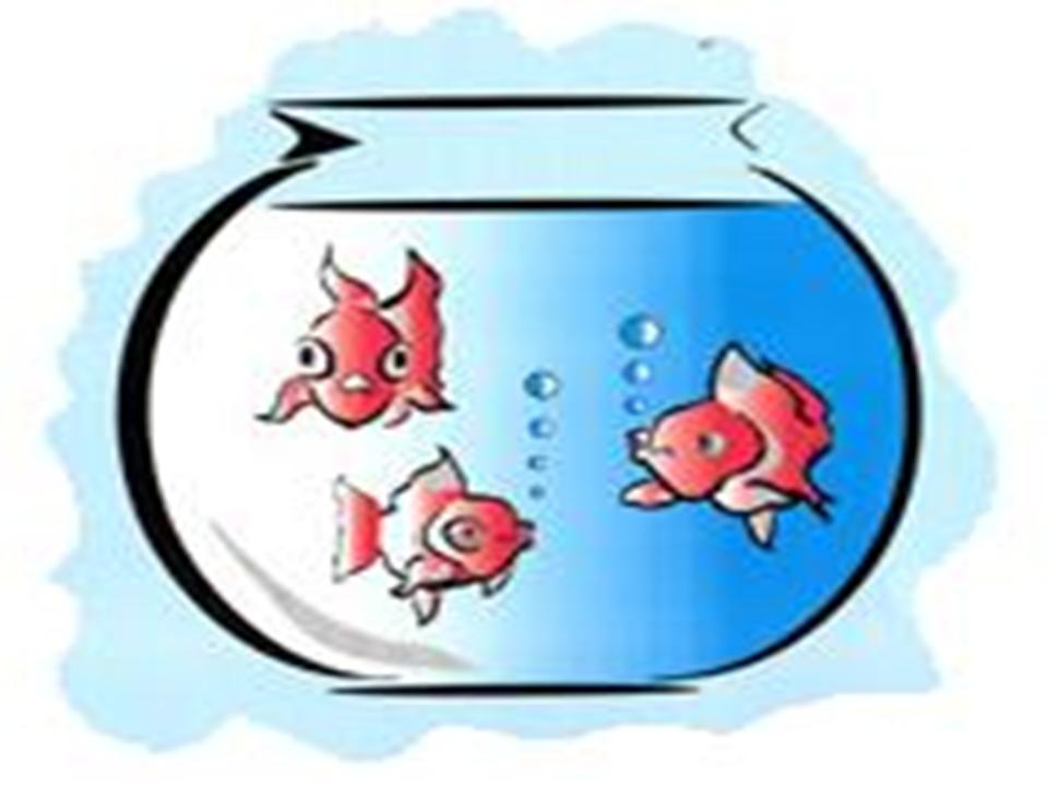 Fish bowl clip art famclipart