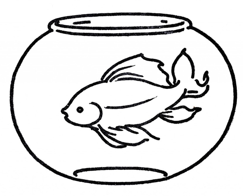 Fish bowl goldfish clipart