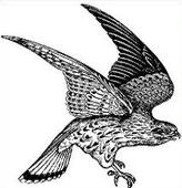 Falcon clipart web image - Clipartix