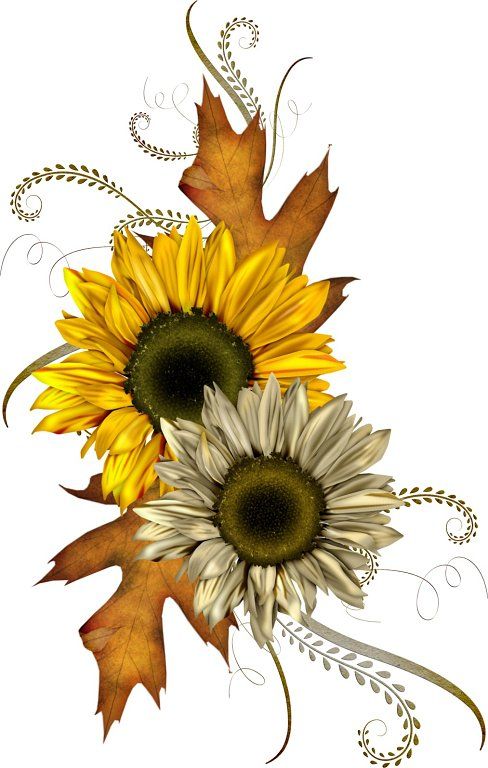 Free fall images about autumn clip art and images on