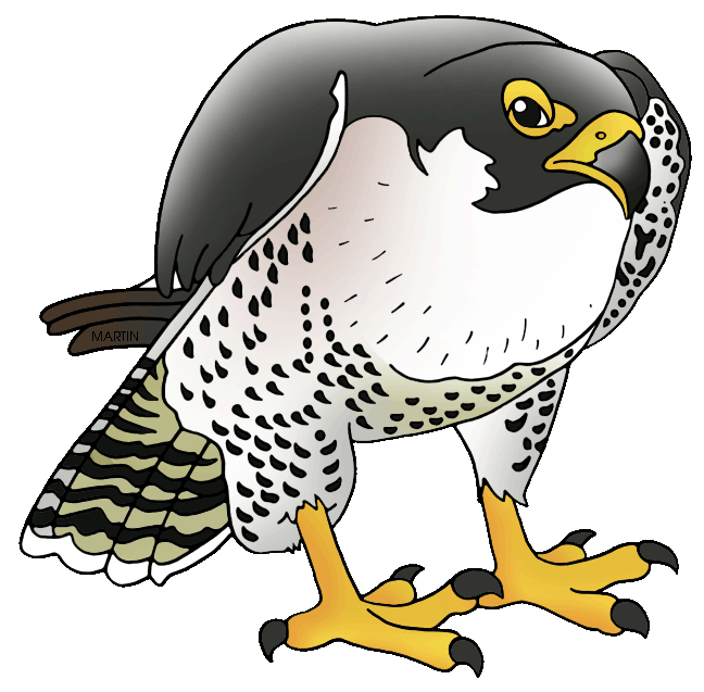 Peregrine falcon clipart clipartfest
