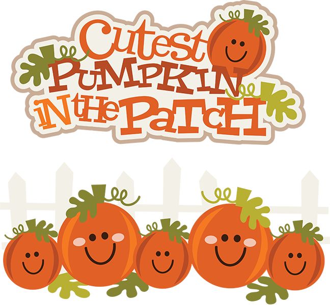 Thanksgiving pumpkin clipart image 3