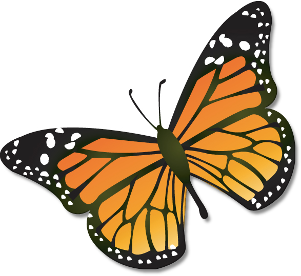Butterflies butterfly clip art clipart