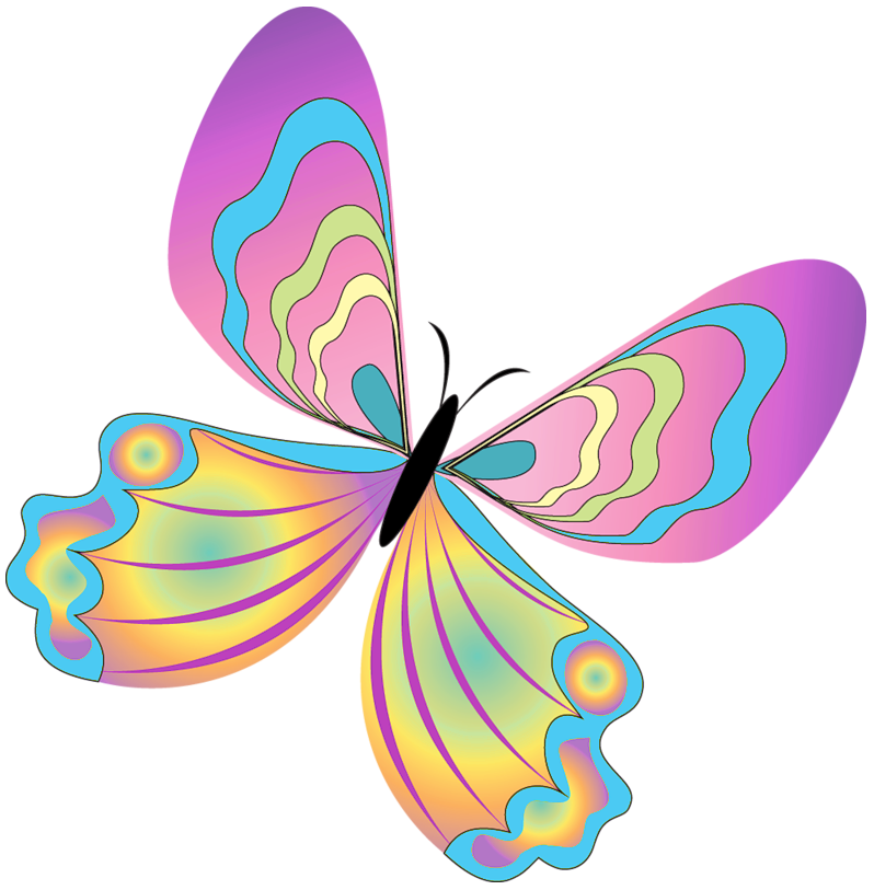 Butterflies butterfly clipart 8