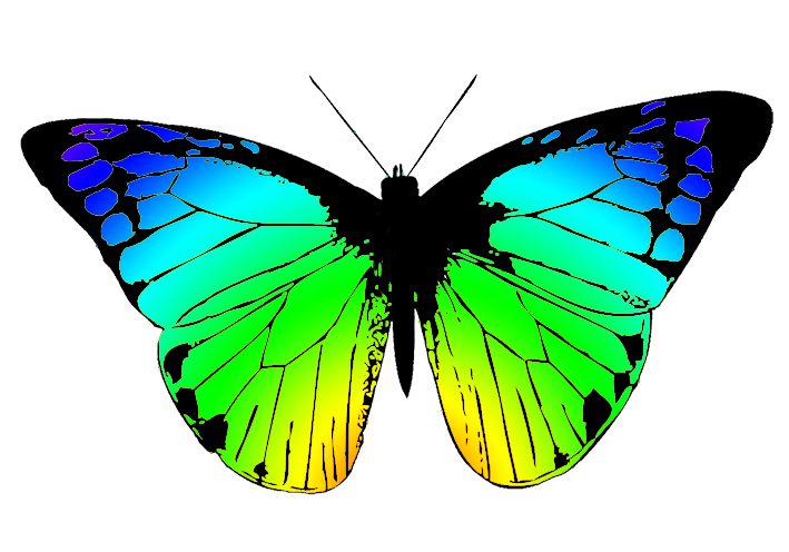 Butterfly clipart 3