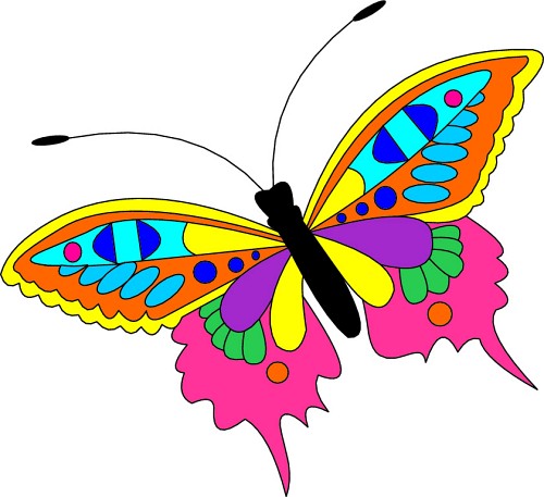 Butterfly clipart 4