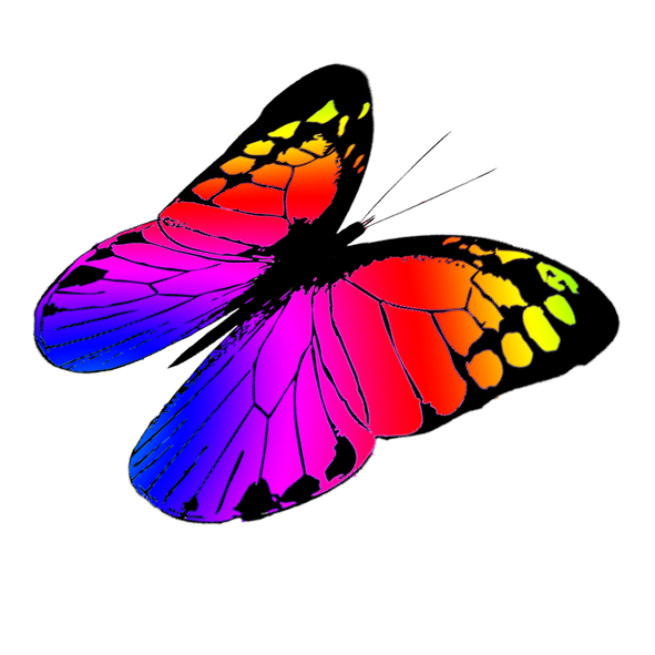 Butterfly clipart 7