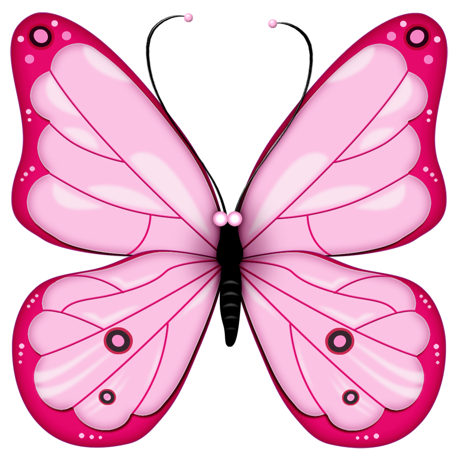 Butterfly clipart free images 2