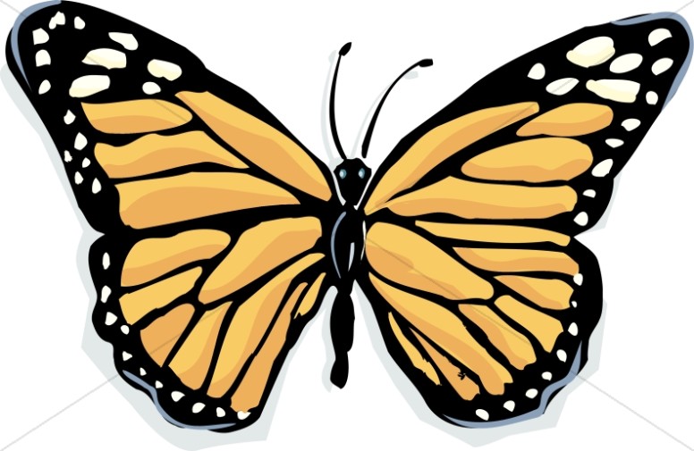 Butterfly clipart graphics images sharefaith 2
