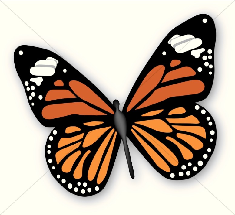 Butterfly clipart graphics images sharefaith